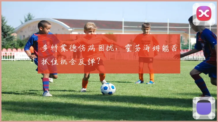 多特蒙德伤病困扰，霍芬海姆能否抓住机会反弹？