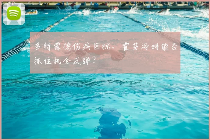 多特蒙德伤病困扰,霍芬海姆能否抓住机会反弹?